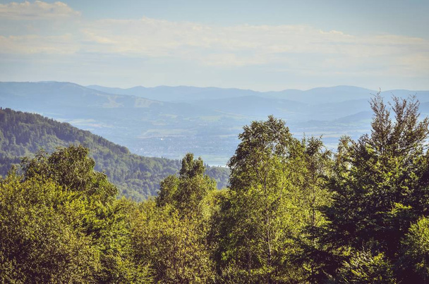 Summer mountain landscape. Beautiful green hills on a sunny day. - Foto, Bild