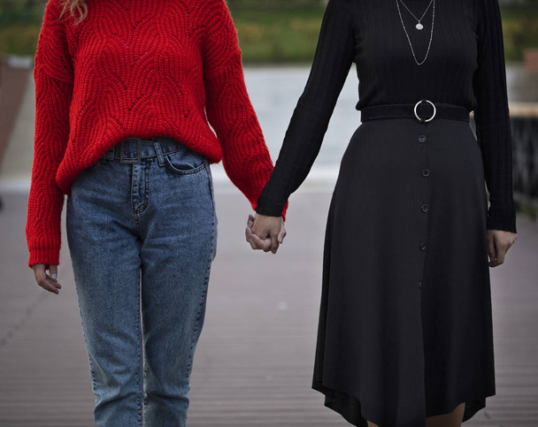 lesbian couple holding hands, girl friends, romantic moment - Photo, Image