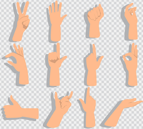 Set van handen tonen verschillende gebaren - Vector, afbeelding