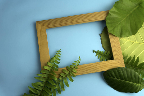 Рамка с тропическими листьями летом минимальный фон
 - Фото, изображение