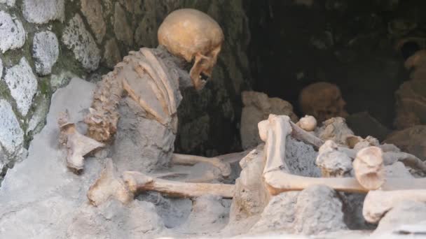 Древнеримские человеческие останки - Скелеты в Геркулануме, Олес, Италия
 - Кадры, видео