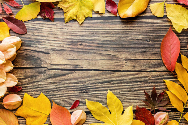 gele en rode bladeren op bruine houten ondergrond. Seizoensgebonden compositie, herfst, Thanksgiving dag, herbarium concept. model, sjabloon, overhead - Foto, afbeelding