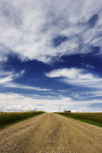 Rural Road - Foto, afbeelding