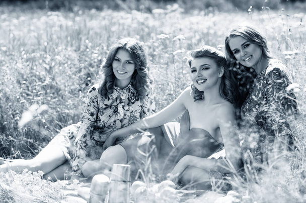 junge schöne Frauen beim Picknick im Sommerpark. - Foto, Bild