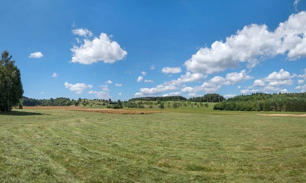 Koszona łąka w wiejskim krajobrazie w lecie - Zdjęcie, obraz