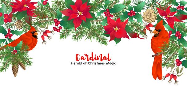 Cardinal bird and Christmas wreath - Vector, Image