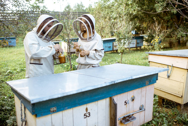 Beekepers που εργάζονται δεν το μελισσοκομείο - Φωτογραφία, εικόνα