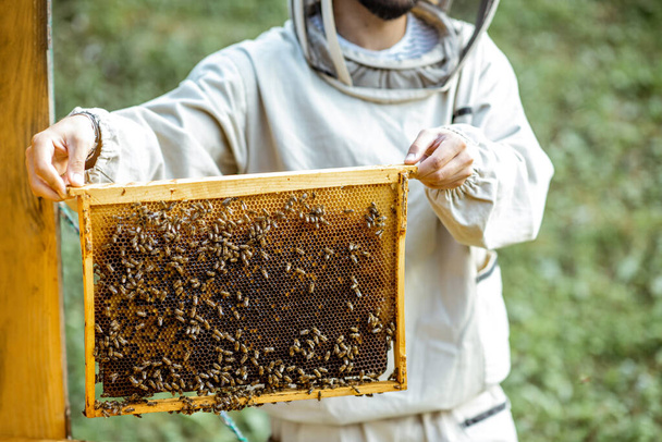 Beekeeper working on the apiary - Фото, изображение