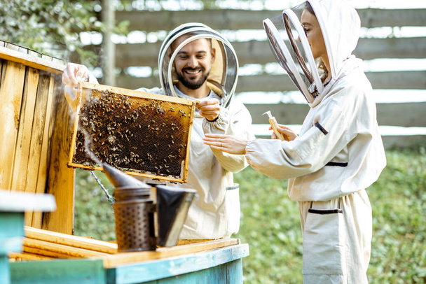 Apiculteurs travaillant sur le rucher
 - Photo, image