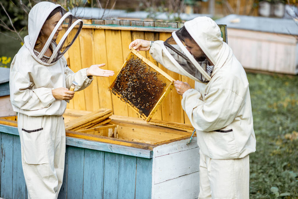 Apicultores que trabalham no apiário
 - Foto, Imagem