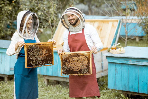 Beekepers με κηρήθρες στο μελισσοκομείο - Φωτογραφία, εικόνα