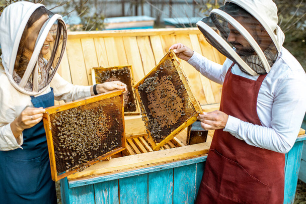 Apiculteurs avec rayons de miel sur le rucher
 - Photo, image