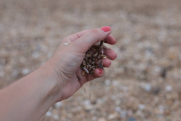 Hands holding and playing with pebbles on the beach - Photo, Image