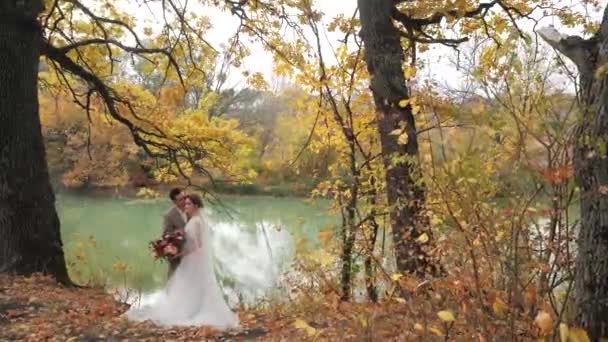 Bruidegom en bruid knuffelen in de buurt van een meer in de herfst bos tussen gekleurde bomen. jong aantrekkelijk gelukkig liefdevol pasgetrouwden in een park in slow motion. - Video
