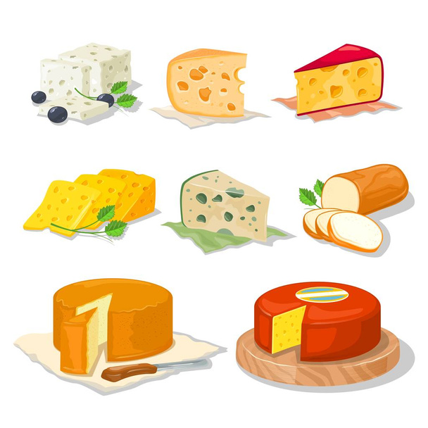 Grand ensemble avec différents types, assortiment de fromages. Collection réaliste de dessins animés vectoriels
. - Vecteur, image