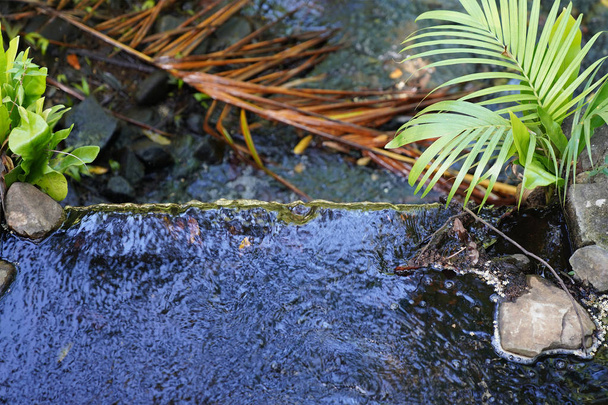 Cascada ajardinada en jardines botánicos
 - Foto, imagen