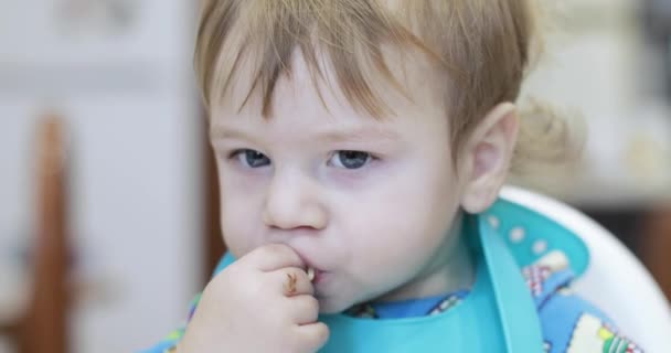 Baby boy eats spaghetti - Πλάνα, βίντεο