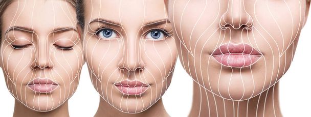 Графические линии лица, показывающие эффект лифтинга на кожу
. - Фото, изображение