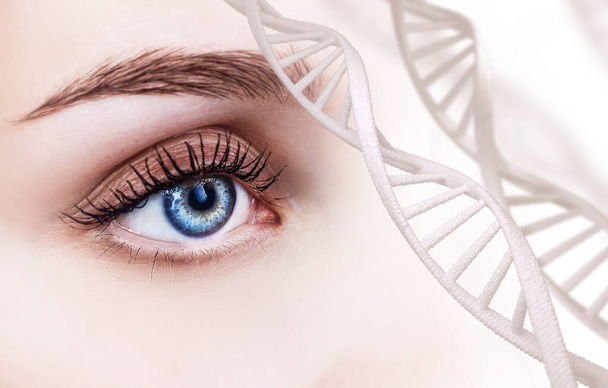 DNA鎖から見た美しい女性の目. - 写真・画像