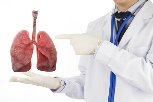 Lekarz sprawdzić układ oddechowy płuc, choroba płuc, koncepcja 3D  - Zdjęcie, obraz
