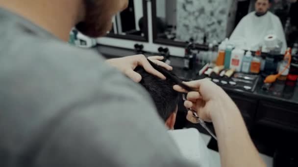 Haircut and beard haircut in barbershop.  - Filmagem, Vídeo