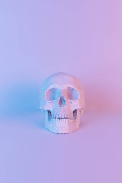 Pastel neon blauw en roze lichte verf op gips schedel - Foto, afbeelding