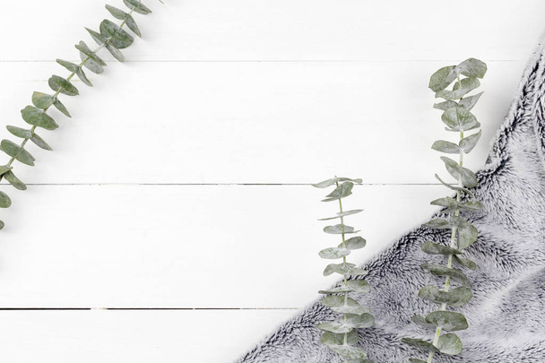 Eucalyptus Silver Dollar plant leaves on white wood panel background with grey fur - Foto, afbeelding