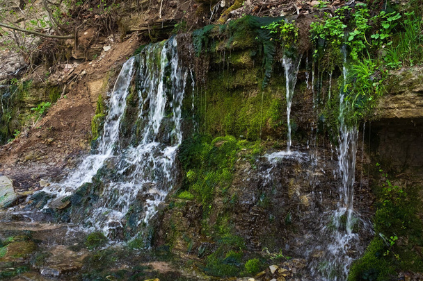 Slavonic Springs in Izborsk, Pskov region, Russia - Photo, Image