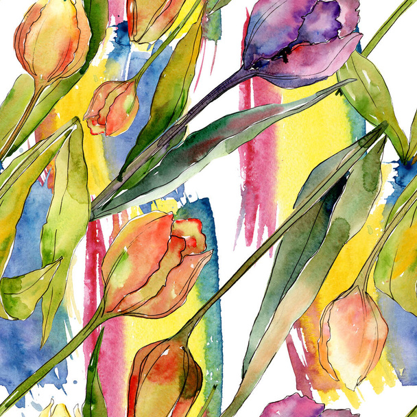Tulipan kwiatowy kwiatów botanicznych. Akwarela zestaw ilustracji tła. Płynny wzór tła. - Zdjęcie, obraz