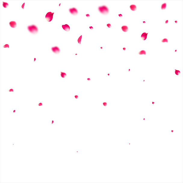 Pink falling petals of roses. Sakura flower pastel texture background. - Vector, Image