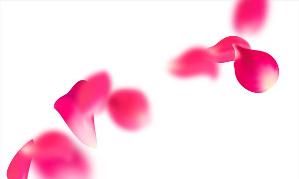 Розовые падающие лепестки изолированы. Цветочный пастельный фон Сакуры
. - Вектор,изображение