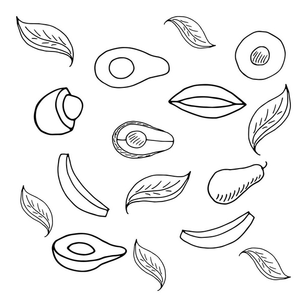 motif d'avocat, nourriture doodle, illustration vectorielle de dessin à la main pour enfants
 - Vecteur, image