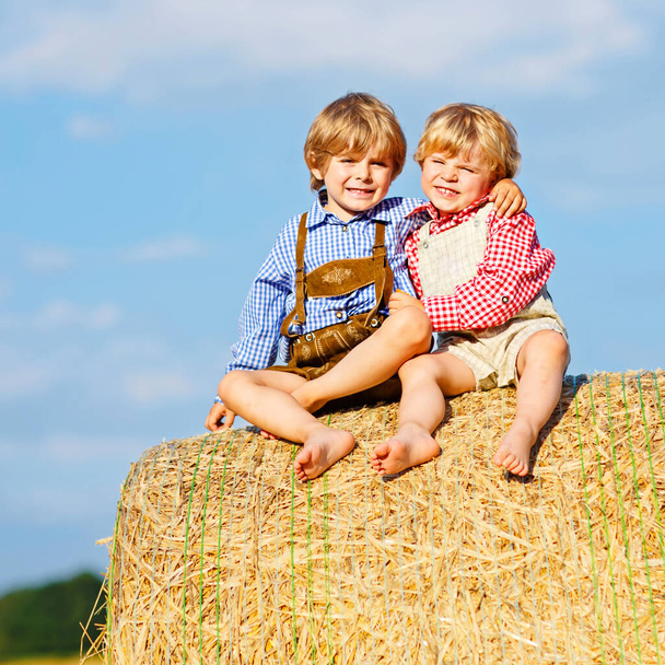 Dos niños pequeños, gemelos y hermanos sentados en el cálido día de verano en la pila de heno
 - Foto, Imagen