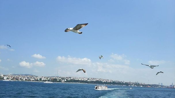 Bósforo, Estambul, Turquía - vista desde el barco
 - Foto, Imagen