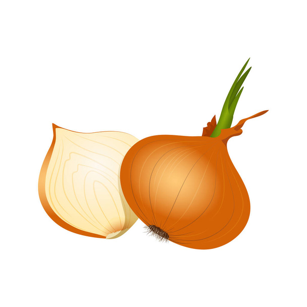 Bright onion and clove on a white background. - Vector, Image