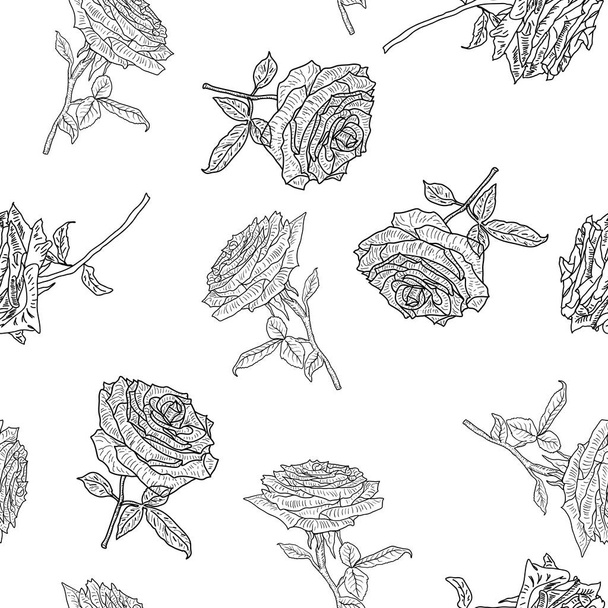 Beautiful seamless of different colors of roses and leaves - Vector, Image