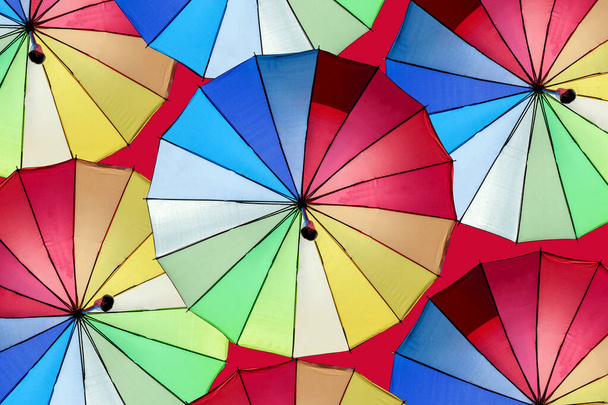 Colorful umbrellas Adorn on the red scene background. - 写真・画像