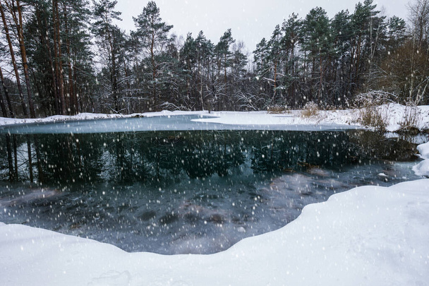 Pond covered with frost at pine forest. - Фото, изображение