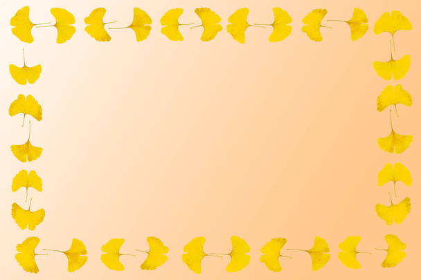Gingko leaf frame - Foto, immagini