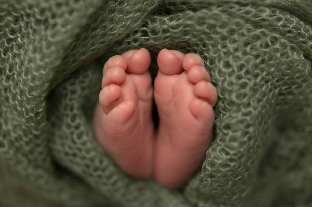 πόδια μωρού σε πράσινο φόντο. πόδια μωρού - Φωτογραφία, εικόνα
