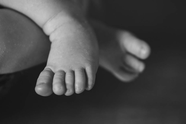 Baby's feet, fingers close up. newborn baby legs, massage concept of childhood, health care, IVF, hygiene - Valokuva, kuva