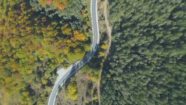 Αεροφωτογραφία της περιέλιξης ορεινό δρόμο με όμορφο, γραφικό φθινοπωρινό τοπίο - Πλάνα, βίντεο
