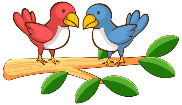 Due uccelli su sfondo bianco
 - Vettoriali, immagini