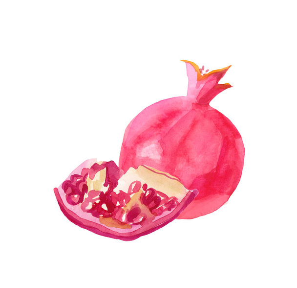 Pomegranate watercolor illustration hand drawn. Pink fruit in th - Photo, Image