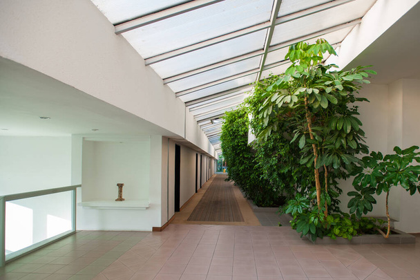 nature à l'intérieur du bâtiment, couloir et feuillage
 - Photo, image