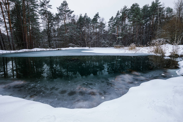 Pond covered with frost at pine forest. - Photo, Image