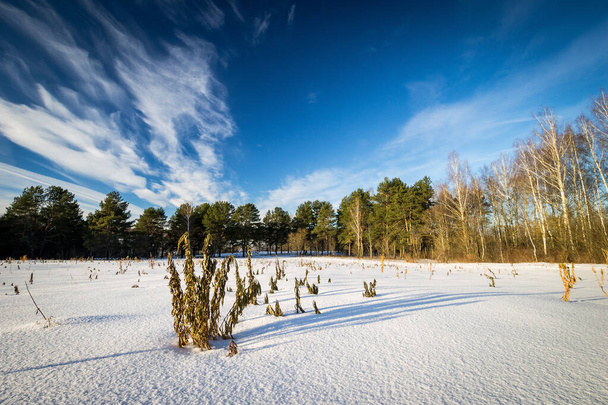 Kış mevsiminde tarlada güzel gün batımı - Fotoğraf, Görsel