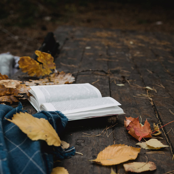 Op een oude houten tafel in een herfstpark ligt een open boek, een blauwe plaid, een bloemenslinger met lichtjes, een kopje gele bladeren en sos kegels. Bovenaanzicht, wazig. Herfst warme donkere stemming, zachte focus. - Foto, afbeelding