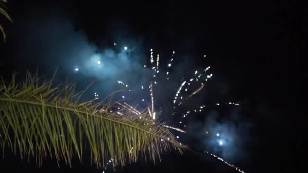 Explosão de fogos de artifício no céu noturno. Acção. Fogos de artifício em um céu noturno
 - Filmagem, Vídeo