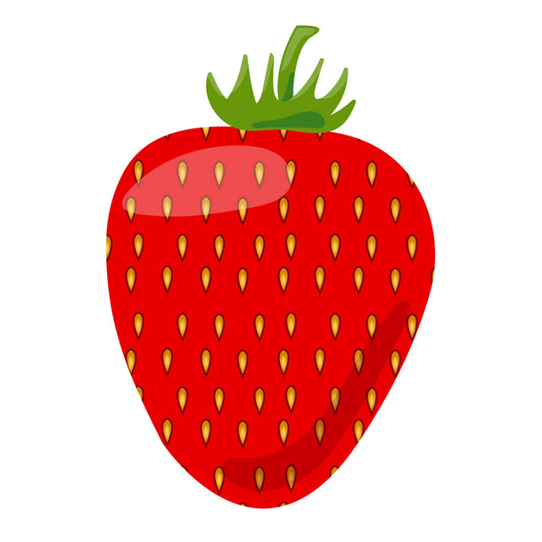 Fruits. Strawberries berry isolated on transparent background - Vector, Image